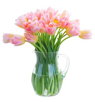 Bouquet Of Yellow Purple And Red Tulips