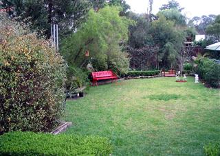 Landscaped Yard