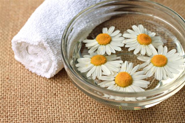 Chamomile Treatment