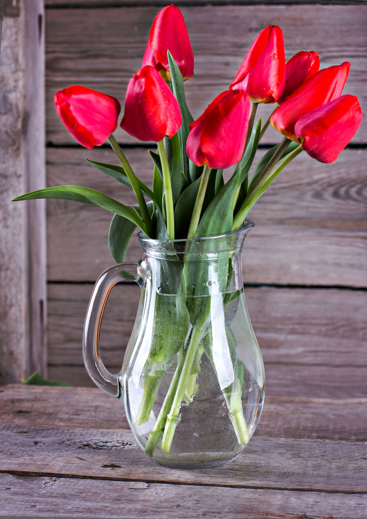 Red Fresh Tulip Bouquet