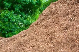 Pile Of Hardwood Mulch