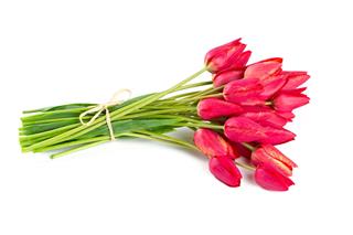 Bunch Of Red Tulips