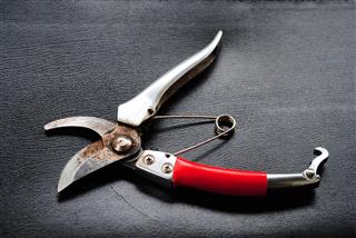 Used Pruning Shears