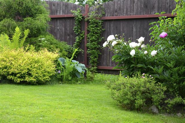 ornamental garden with lawn