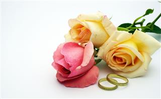Rings And Rose