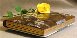 Antique album