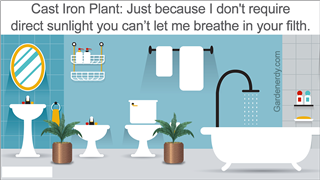 Bathroom Furniture Display Panorama
