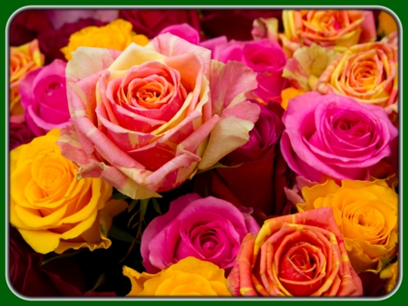 Peach, Orange, and Pink Bunch of Roses