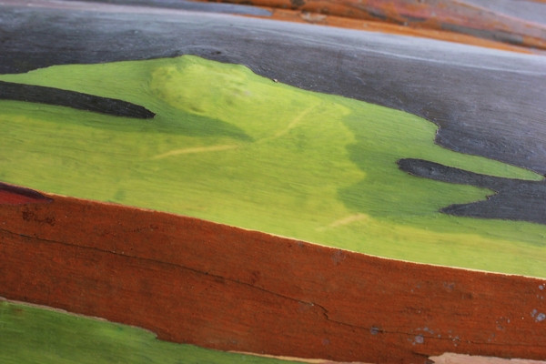 Rainbow eucalyptus bark