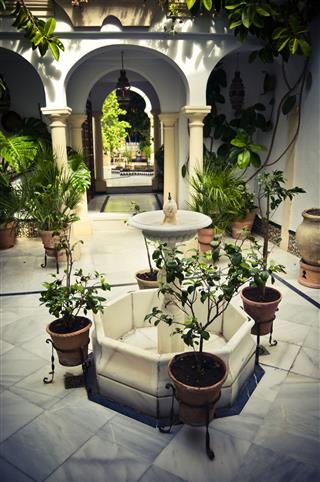 Cordoba Patio