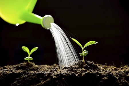 Water the Soil