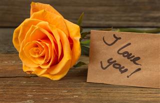 Yellow Rose And Card