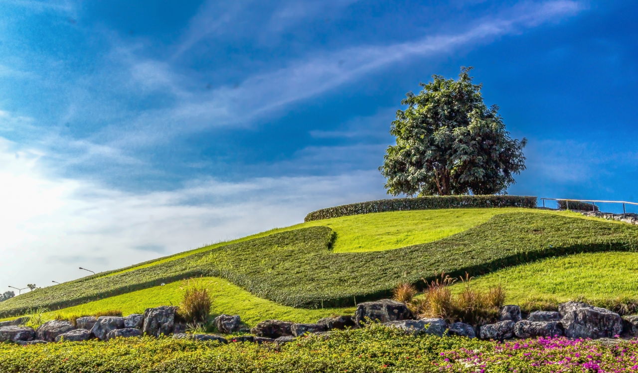 Landscape