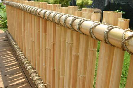 Bamboo Fence