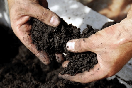 Salinity Management