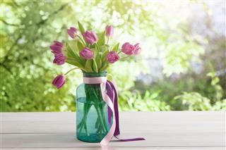 Flowers Background Violet Tulips