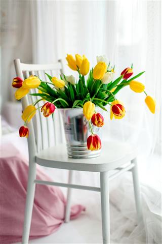 Tulips On French Wood Chair
