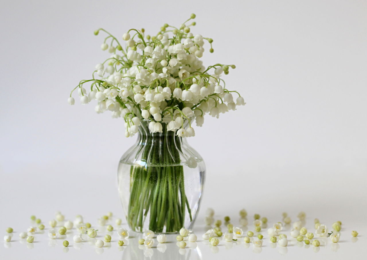 Lily Of The Valley Flowers
