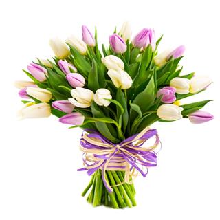 Bouquet Of Tulips