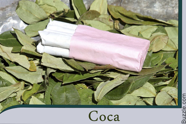 coca