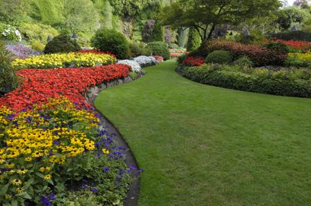 Suitable color scheme in a garden