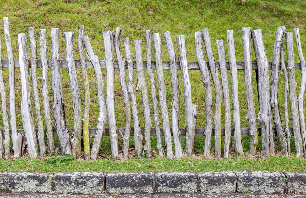 Wood Fence