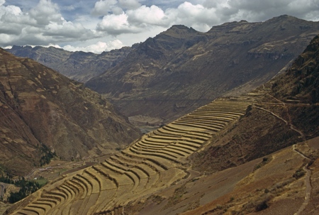 Build terraces