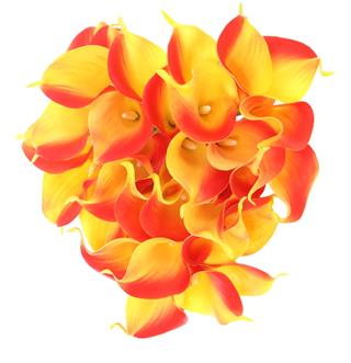 Calla Lily Heart