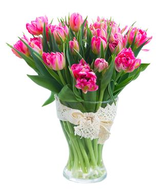 Bouquet Of Pink Tulips