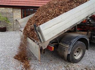 Bark Mulch Wood Chips