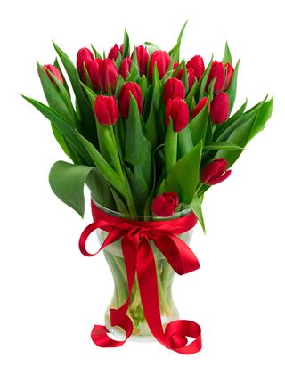 Bouquet Of Tulips