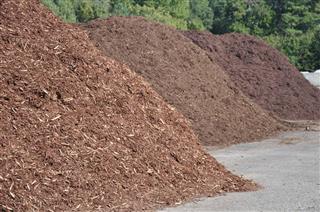 Mulch On Road