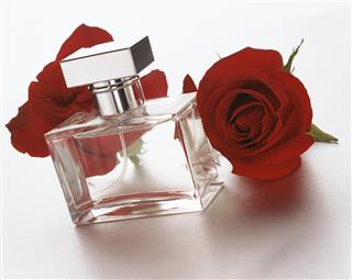Perfume Bottle