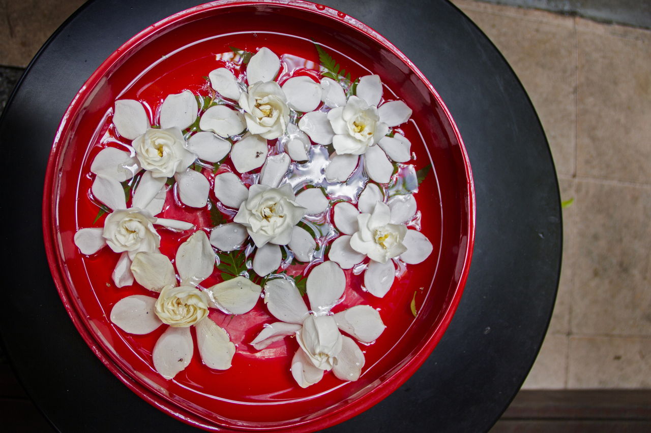Gardenias In Water