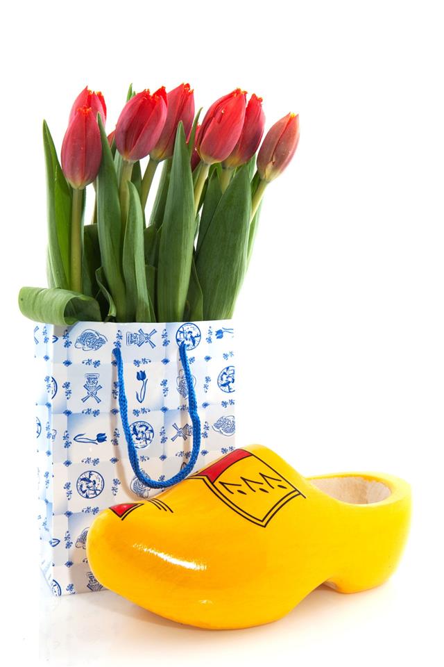 Red Tulip