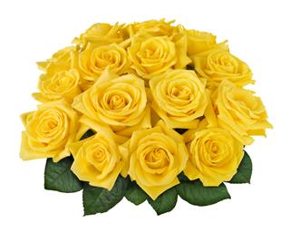 Yellow Rose Bouquet