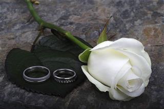Wedding Rings With Rose