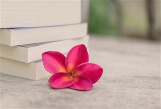 Relaxing Holiday With Favorite Books