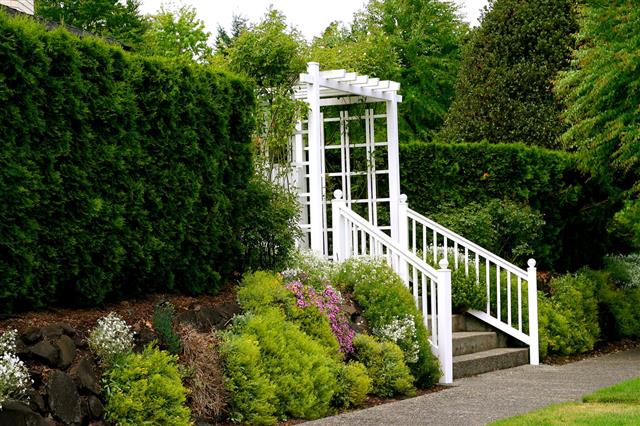 Pergola