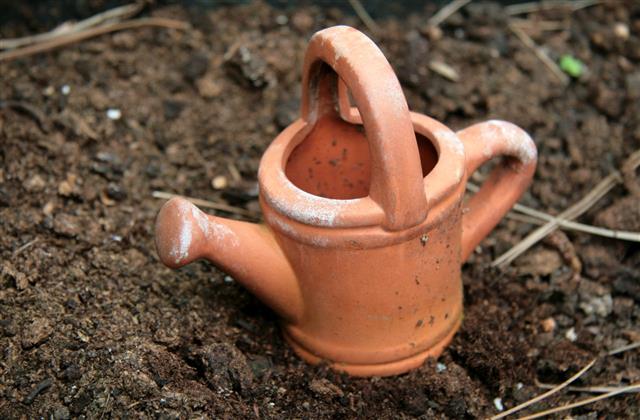 Watering Can