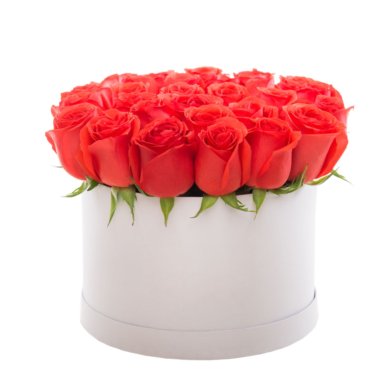 Red Roses In Flower Box