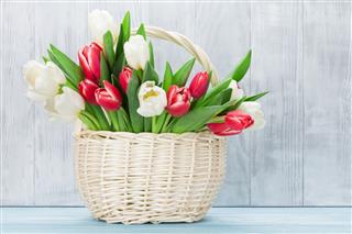 Colorful Tulips Bouquet