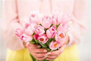 Bunch Of Tulips In Woman Hands