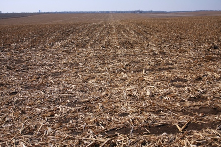 No-till farming