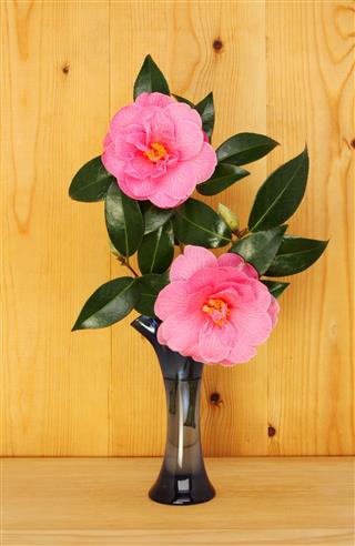 Camellia In Vase