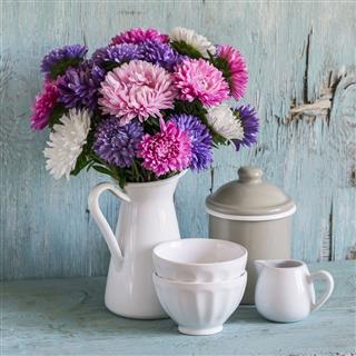 Aster Flowers