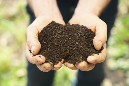 Formation of soil