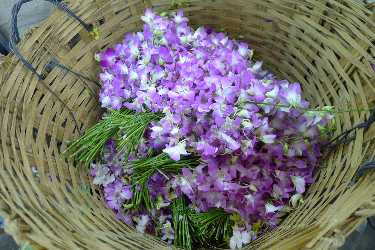 Orchids At Flower Market Bangkok