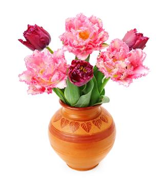 Tulips In A Vase