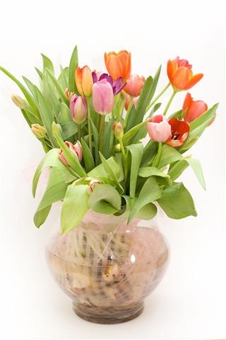 Bouquet Of Fresh Tulips In Vase